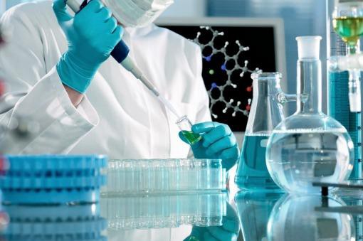 Probarán en humanos una droga capaz de ralentizar el Alzheimer | Internacionales