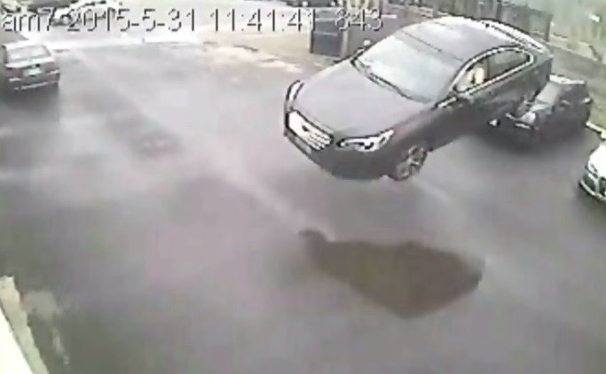 Video: un auto apareció volando y chocó contra una pared | Internacionales