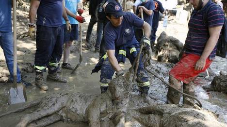 Un tigre que escapó del zoo de Georgia mató a un hombre e hirió a otro | Internacionales