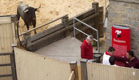 El toro que no quiso participar del encierro de San Fermín | Internacionales