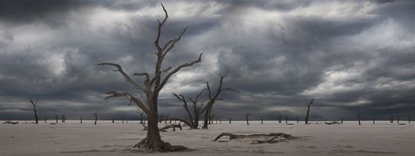 Poonostican que el fin del mundo llegará en 2100 | Internacionales