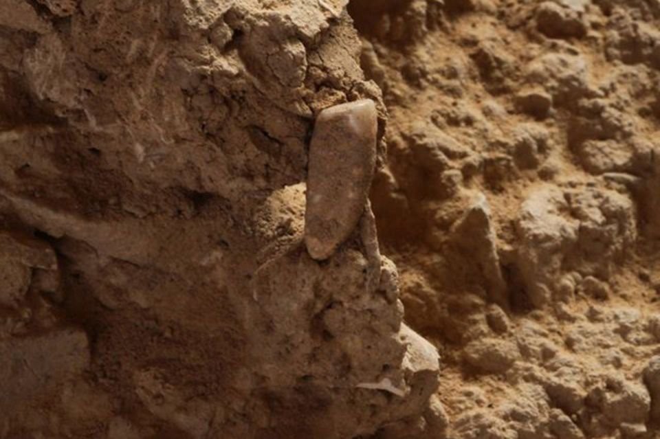 Con la arqueología como hobby, una adolescente halló un diente humano de 560 mil años | Internacionales