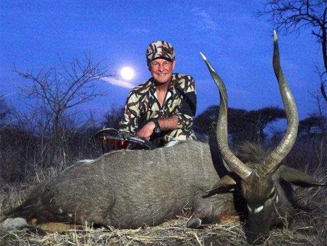 Buscan a otro médico estadounidense que mató a un león en Zimbabue | Internacionales