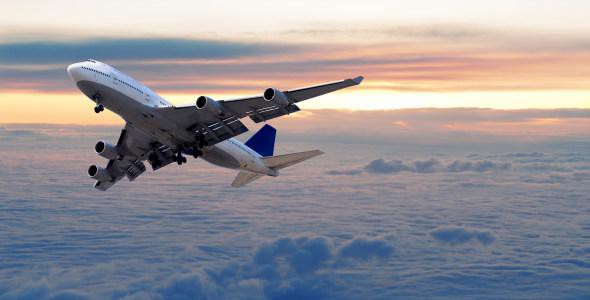 Tras la muerte del león Cecil, aerolíneas prohíben el traslado de "trofeos" de caza | Internacionales