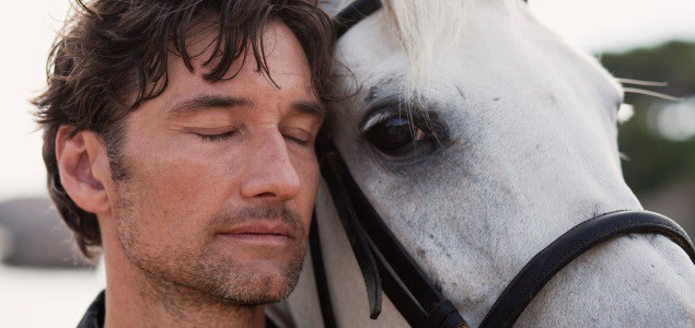 Descubren que los caballos tienen expresiones faciales similares a las de los hombres | Internacionales