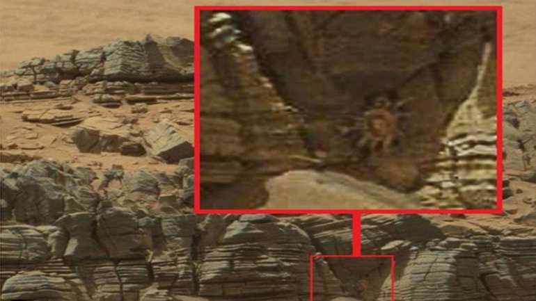 Foto: ¿un cangrejo alienígena en Marte? | Internacionales