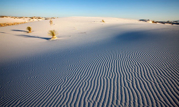 Murieron en un parque desértico pero salvaron a su hijo al darle su agua | Internacionales