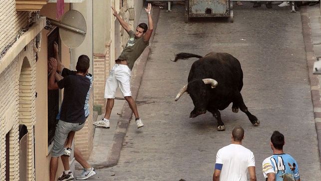 Cuatro hombres murieron por cornadas de toros en un mes y medio en España | Internacionales