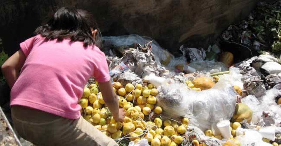 Afirman que con una cuarta parte de la comida desperdiciada se acabaría el hambre en el mundo | Internacionales