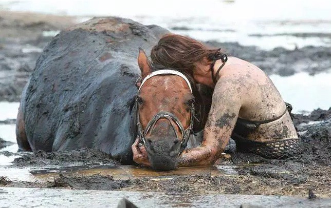 Una mujer pasó tres horas abrazada a su caballo mientras el animal se hundía en el barro | Internacionales