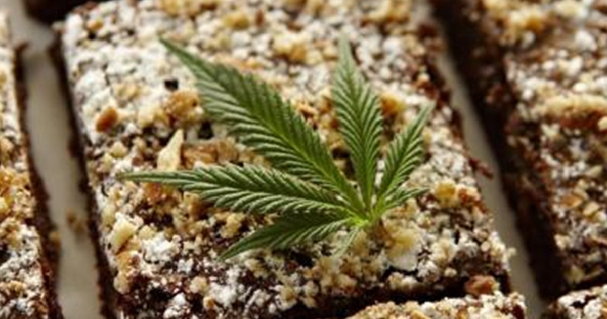 Un profesor fue hospitalizado tras comer un brownie que contenía marihuana | Internacionales