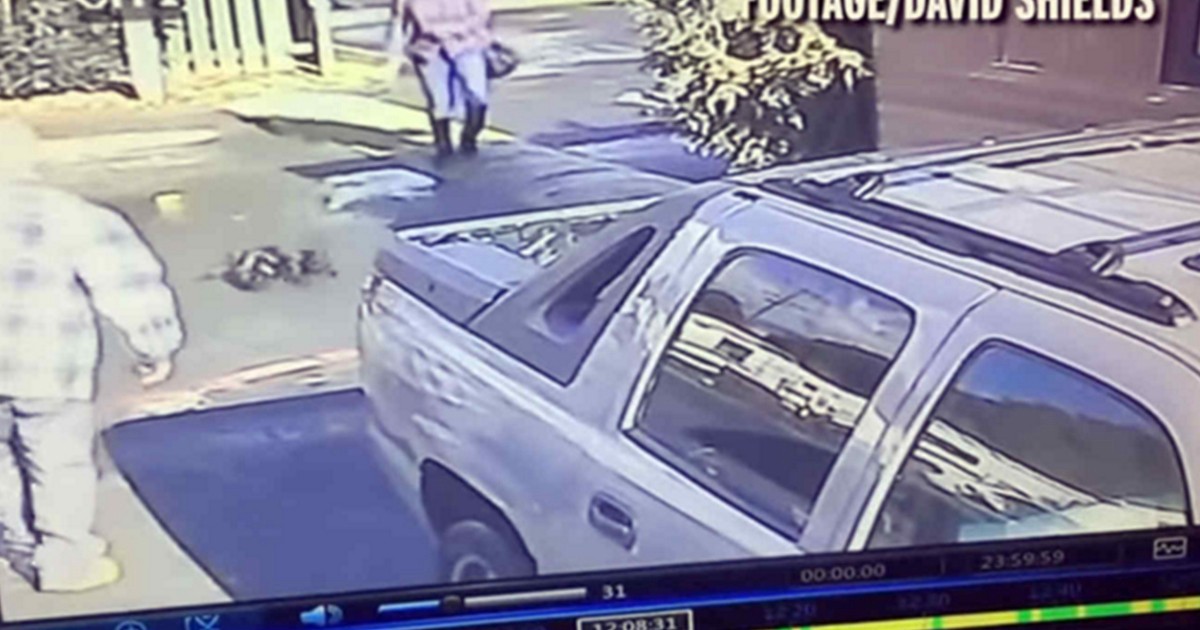 El cruel maltrato de una mujer a su perro durante una discusión con su novio | Internacionales