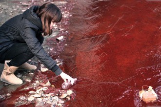 El 80% del agua subterránea de China está contaminada por el uso de agrotóxicos | Internacionales