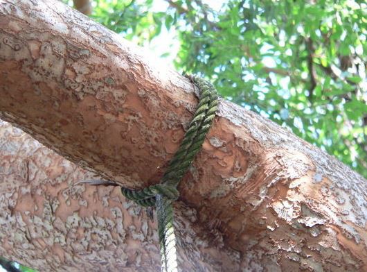 India: Le cortó las manos al violador de su beba | Internacionales