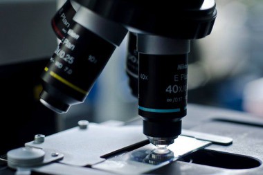 Convivir con algunos microbios es bueno para la salud | Internacionales