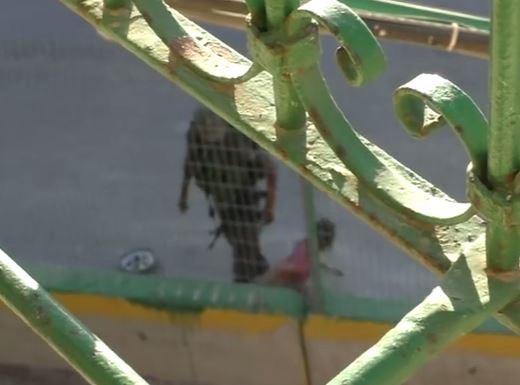 Video: Un policía israelí le saca a una nena palestina su bicicleta y la arroja a unos arbustos | Internacionales