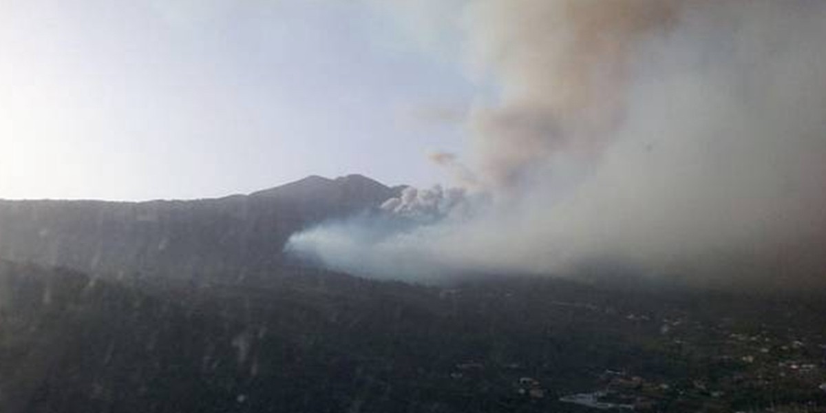 Hizo sus necesidades en la montaña y provocó un trágico incendio forestal | Internacionales