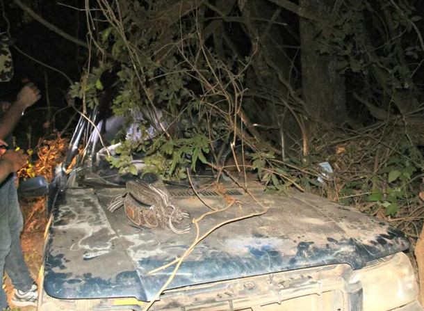 Una nena de 5 años caminó sola un kilómetro en busca de ayuda tras la muerte de sus padres | Internacionales