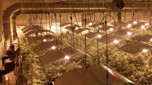 Descubren que los apagones de luz en un pueblo español se debían a plantaciones de marihuana | Internacionales