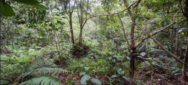 El reto visual del Ejército británico en Facebook: ¿cuánto soldados ves en la foto? | Internacionales