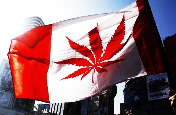 El Gobierno canadiense inicia proceso para legalizar la marihuana | Internacionales