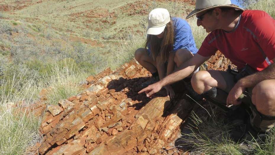 Encuentran la evidencia más antigua de la vida en la Tierra | Internacionales