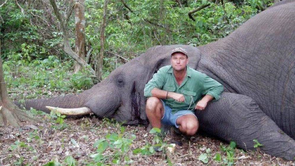 Cazador murió aplastado por un elefante luego de dispararle a sus crías | Internacionales