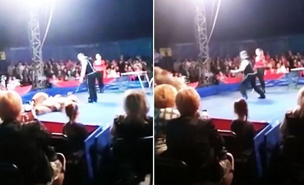 Video impactante: un espectador filmó el momento en el que un oso se tiró hacia el público en un circo | Internacionales