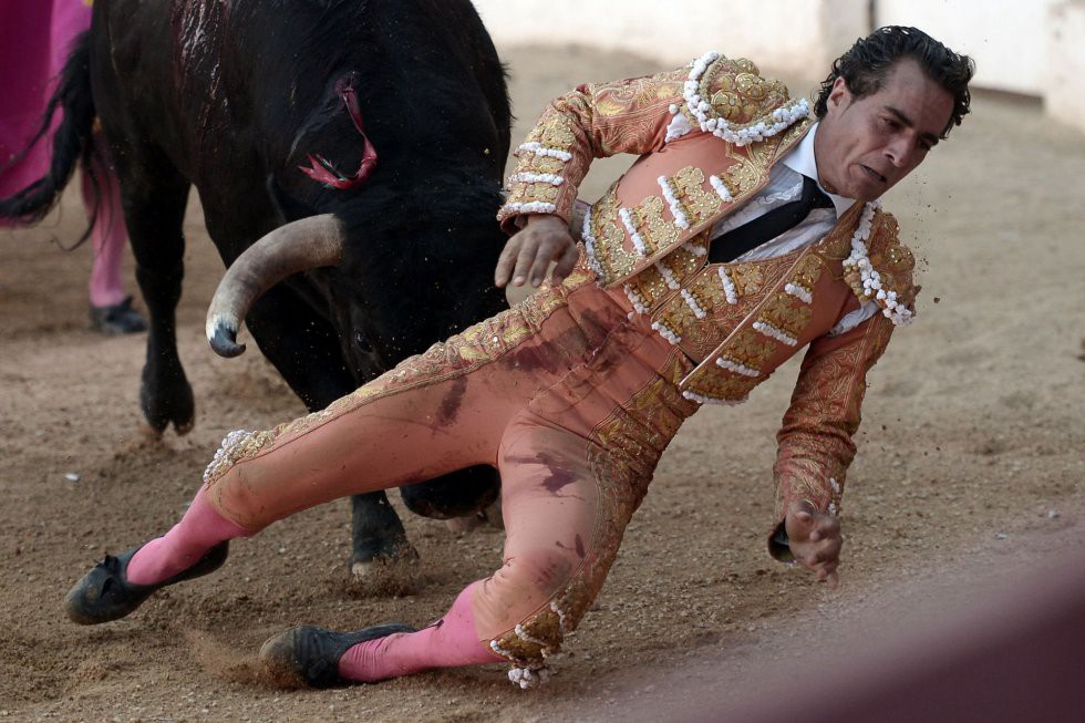 Murió un torero español al recibir una cornada en un pulmón | Internacionales