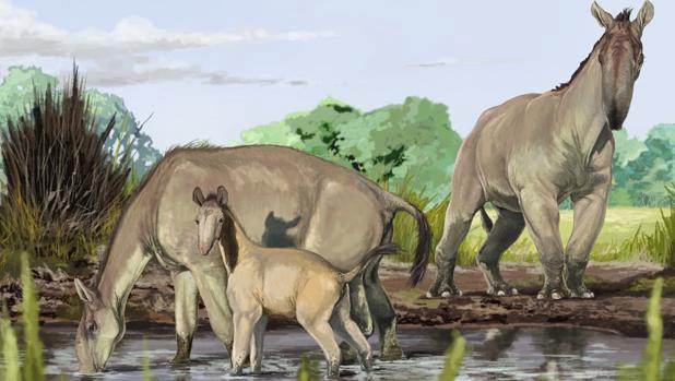 Develan el misterio de una especie cuyos restos encontró Darwin en Argentina y Uruguay | Internacionales