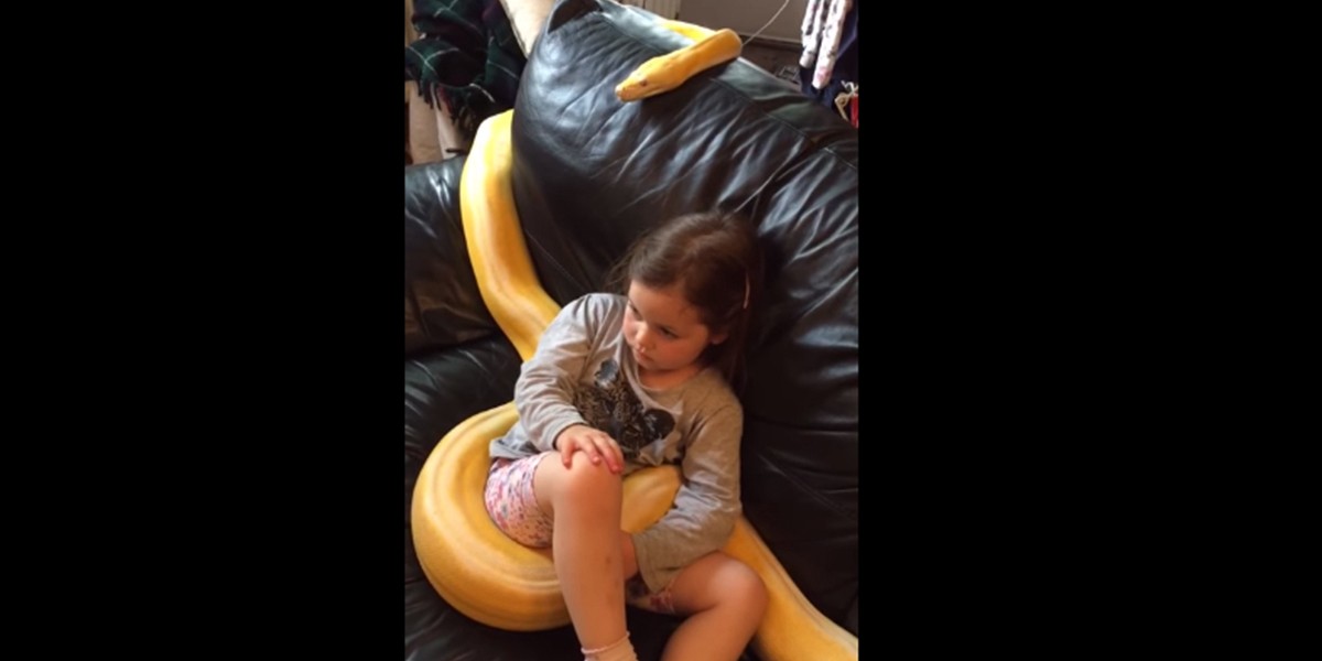 Escalofriante: dejó a su hija de 4 años sola con una pitón y subió el video a las redes | Internacionales