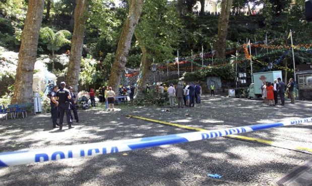 Tragedia Portugal: se cayó un árbol y mató a trece personas | Internacionales