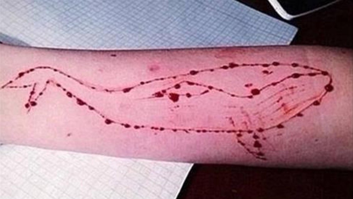 Detuvieron a dos administradores de "grupos de la muerte": incitaban al suicidio de adolescentes | Internacionales