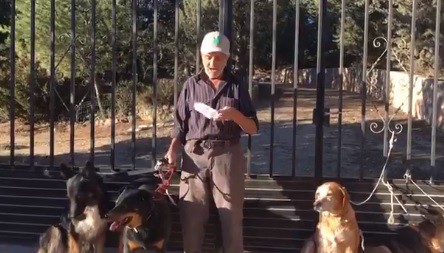 Un hombre de 87 años con cáncer busca un nuevo hogar para sus seis perros | Internacionales