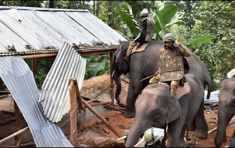 Video: policía en India usó elefantes para desalojar un asentamiento ilegal | Internacionales