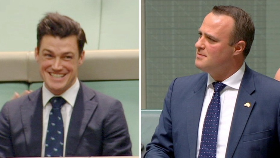 Diputado homosexual le pidió casamiento a su pareja durante el debate por el matrimonio gay | Internacionales