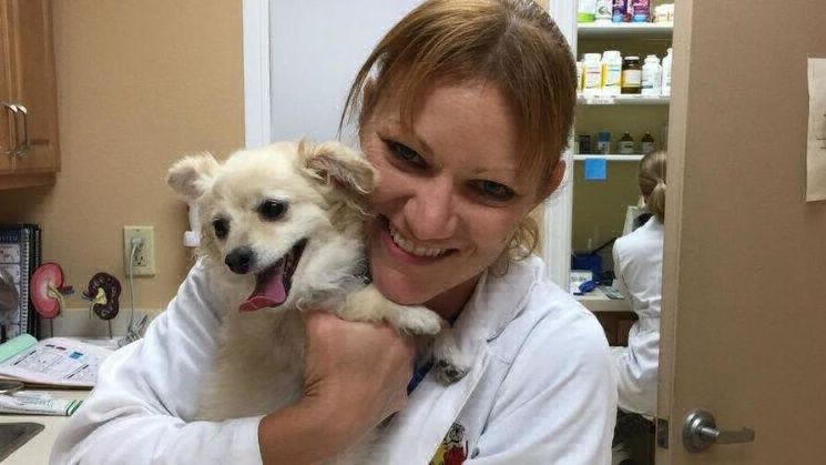 Una veterinaria fusiló al bulldog de su vecino porque ladraba | Internacionales