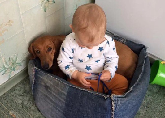 Un niño de dos años murió al caerle encima un suicida | Internacionales