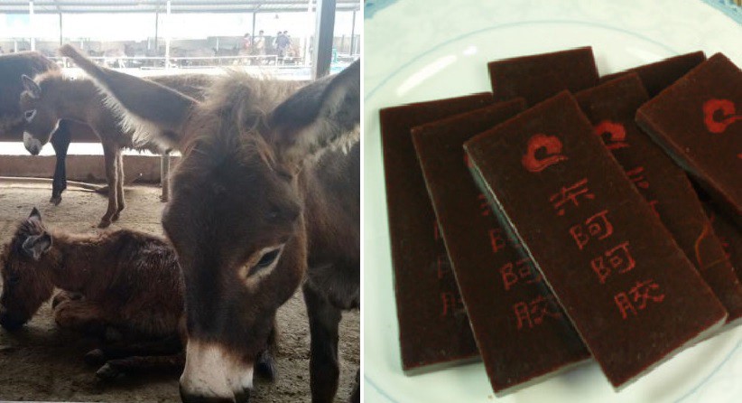 Detuvieron a 36 personas por vender falsos remedios de piel de burro | Internacionales