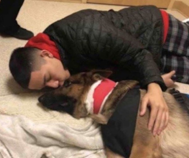 Un perro recibió tres disparos al salvar la vida de su dueño durante un asalto | Internacionales