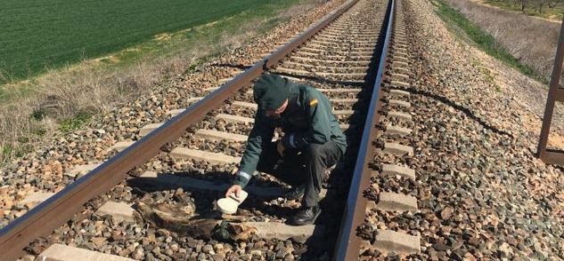 España: identificaron al acusado de matar animales atándolos a vías del tren | Internacionales