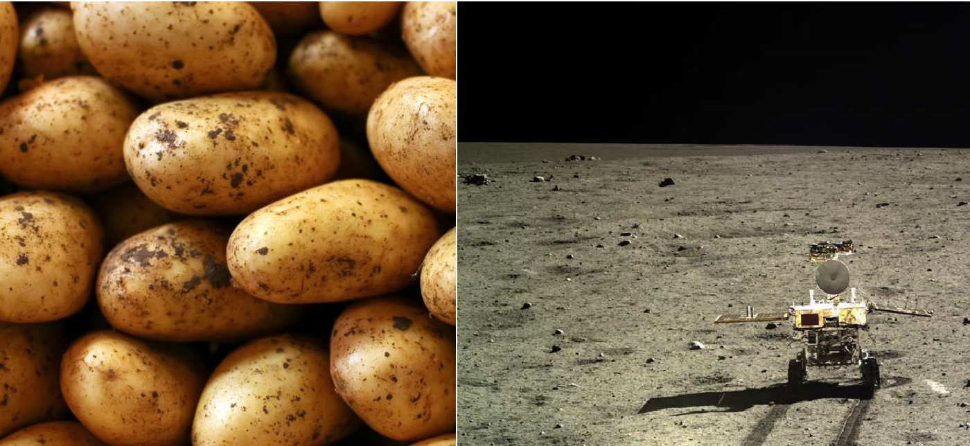 La esperanza de la humanidad puesta en la "papa lunar" | Internacionales