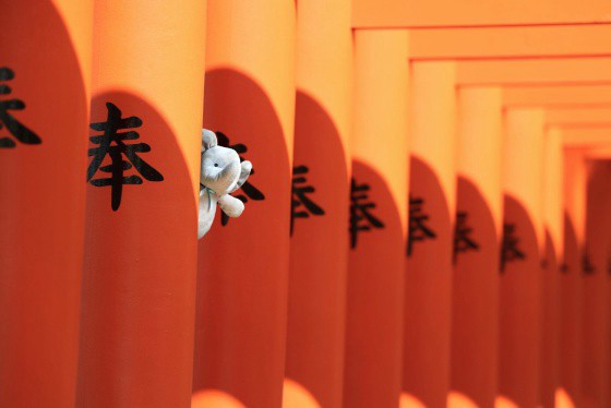 Publican fotos de un peluche alrededor del mundo para consolar a un nene | Redes