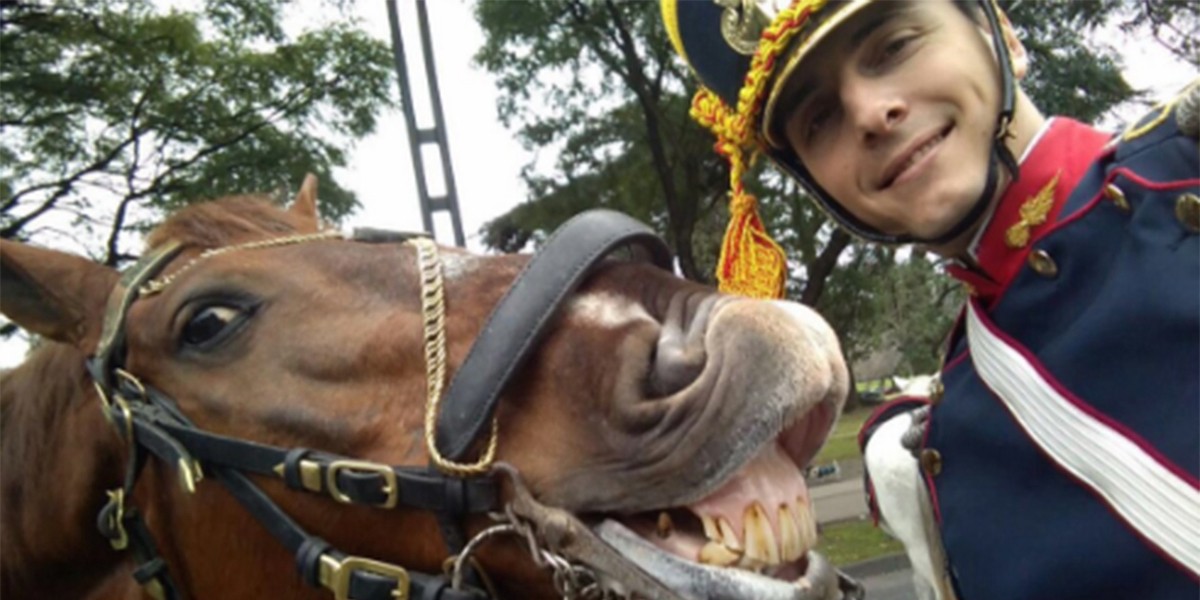 La divertida selfie de los festejos del Bicentenario | Redes