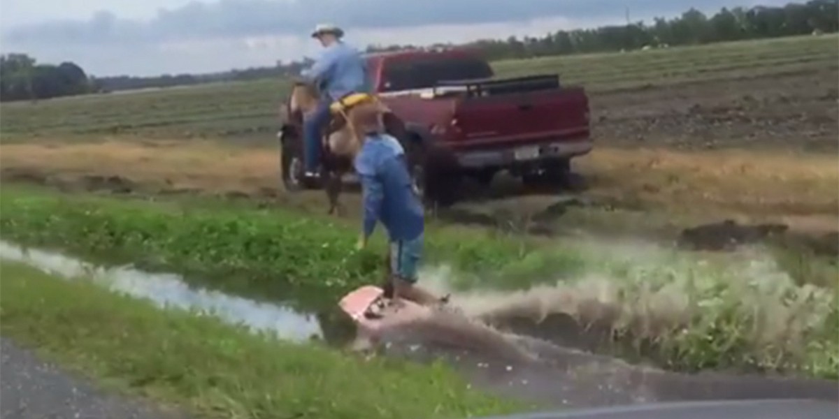 Insólito: un joven practicó esquí acuático arrastrado por un caballo | Redes