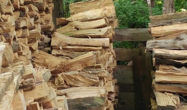 Acertijo viral: ¿dónde "se esconde" el gato? | Redes