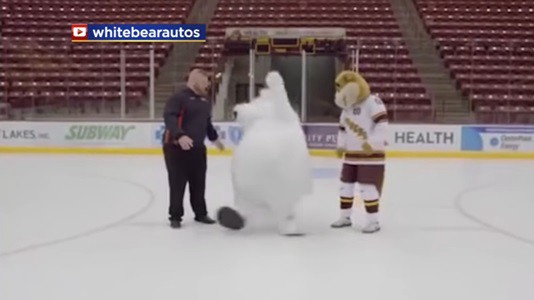 #EsViral La publicidad con el oso polar que no puede caminar en el hielo | Redes