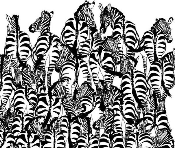 Desafío viral: ¿dónde está la ardilla? | Redes