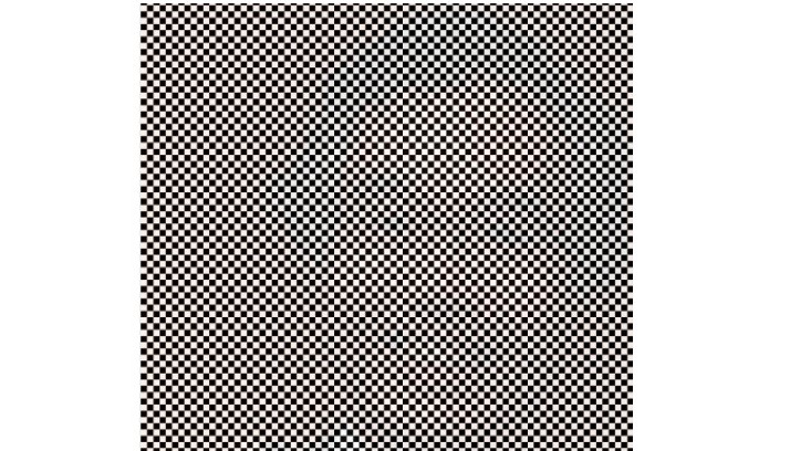 Reto viral: ¿podés ver la cara oculta en la imagen? | Redes