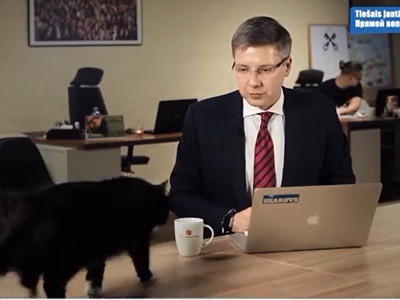 #EsViral El gato que interumpe al alcalde de la ciudad | Redes